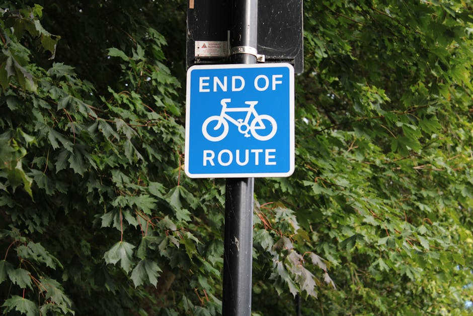 A blue rectangular road sign with white text reading 'END OF ROUTE' and a bicycle symbol is mounted on a black metal pole. The sign is positioned outdoors against a backdrop of dense, leafy green trees with broad, lobed leaves. The environment appears well-lit, suggesting daylight. The sign is likely placed on a paved pathway or street, and the surroundings indicate a suburban or urban area near residential properties. Inside a property, partially visible on the ground, there are cardboard boxes, packing materials such as plastic wrap and fabric covers, and possibly some furniture or appliances waiting to be loaded onto a van. The scene suggests a home relocation or furniture transport process, with items being prepared for moving services by Merton Man and Van, related to the SW19 moving routes around Wimbledon Common for efficient house removals.